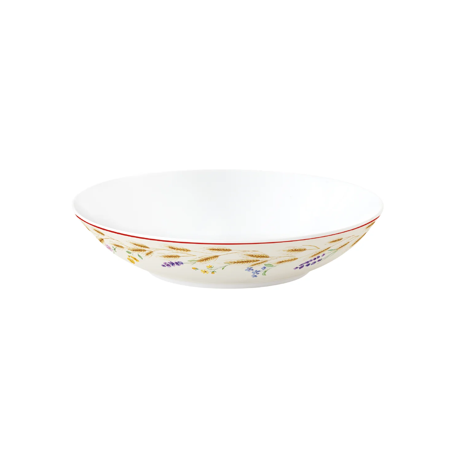 Soup plate in porcelain Ø 20.5 cm COUNTRY LIFE