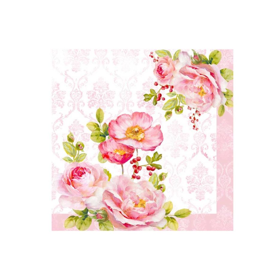 Paquet de 20 serviettes